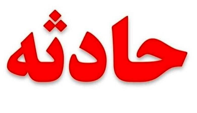 سگ های ولگرد، دختر 3 ساله را لت و پار کردند!+عکس