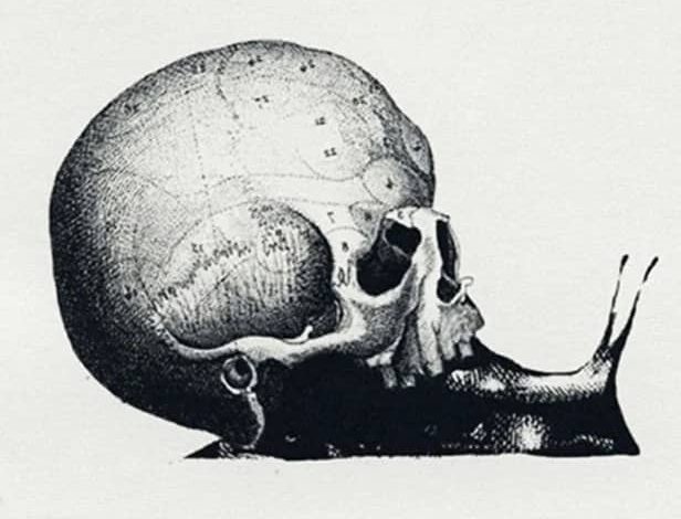 تست مغزی/ شغل آینده تان را پیش بینی کنید!