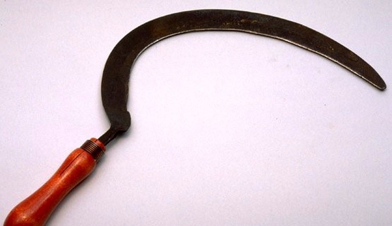 واقعی/ رییس بنیاد شهید کلاردشت با داس زن و شوهری را زد!