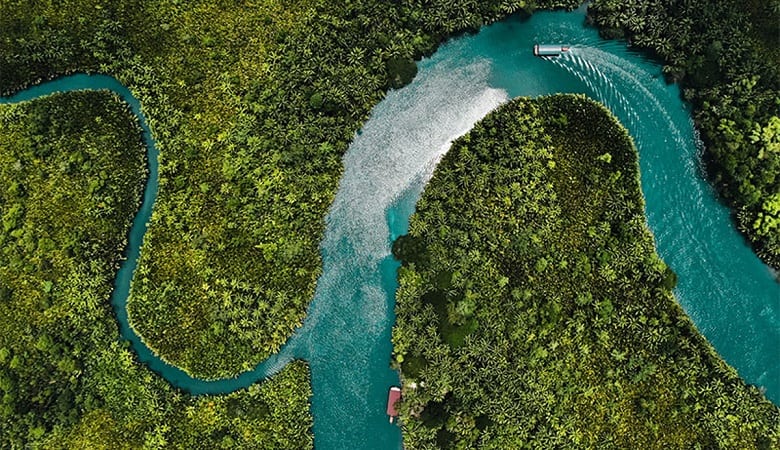 چرا روی رود آمازون هیچ پلی ساخته نشده است؟