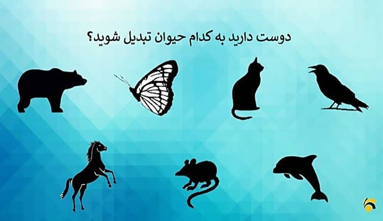 تست روانشناسی/ دوست دارید به چه حیوانی تبدیل شوید؟