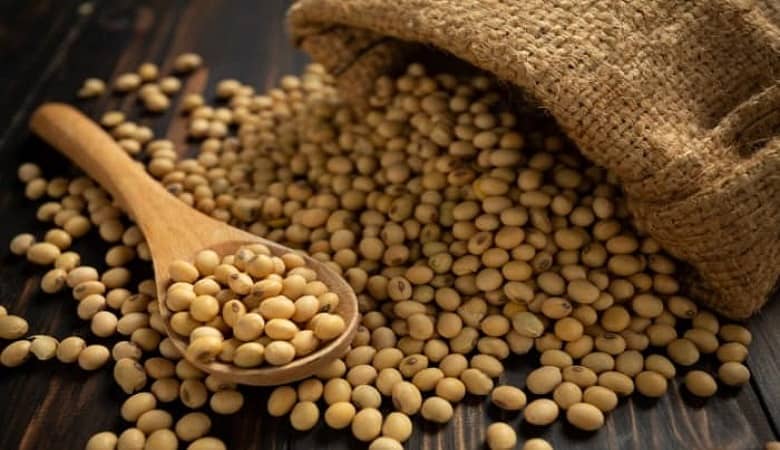 فواید عجیب و غریب “سویا” که حیرت زده تان می کند