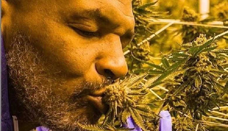 تصاویر/ درآمد نجومی بوکسوری که سلطان ماری جوانا شد!