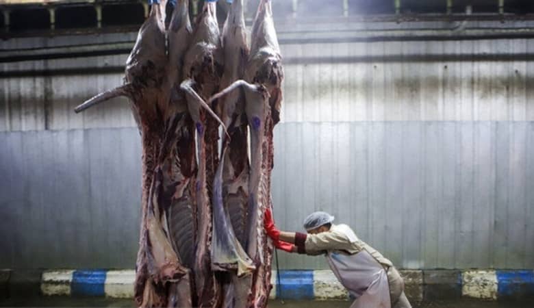 اظهارات عجیب و شوکه کننده درباره فروش گوشت اسب و الاغ