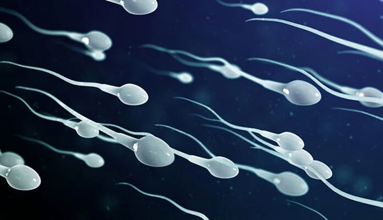۵ عملی که برای سلامت اسپرم نباید انجام داد!