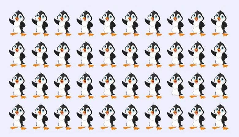 تست بینایی/ زیر 10 ثانیه پنگوئن متفاوت را پیدا کنید