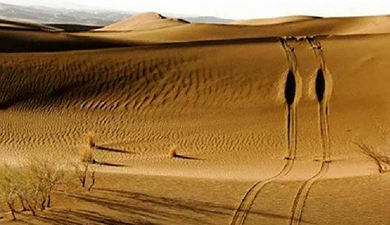 ترنسپرنت وقت2