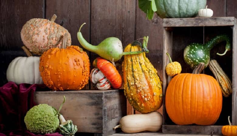 خواص حیرت انگیز انواع “کدو” که از آن بی اطلاعید!