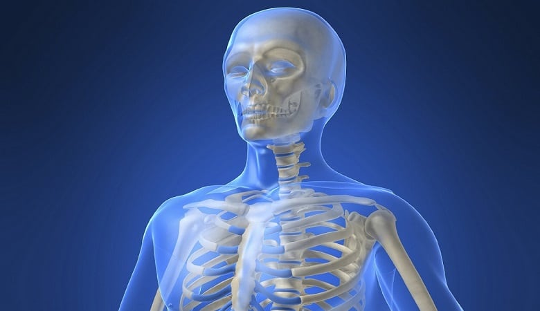 تصاویر/ انسان سال ۳۰۰۰ چه شکلی خواهد شد؟