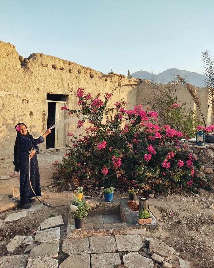 با دیدن این عکس حال دلتان خوب می شود!/ تصویر