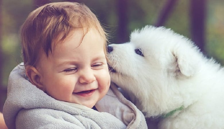 ویدئو/ سندی شگفتانگیز در باب مهربانی و باوفا بودن سگ ها!