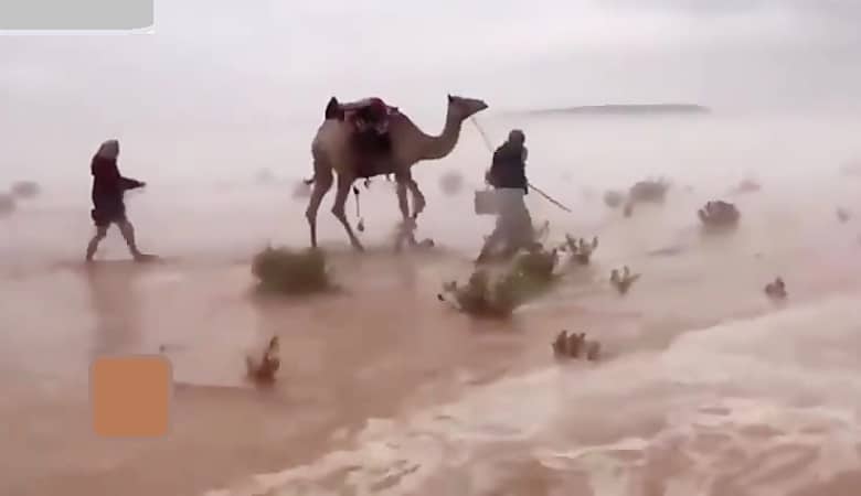 ویدئو/ پدیده حیراتانگیز جاری شدن سیل در کویر عربستان!