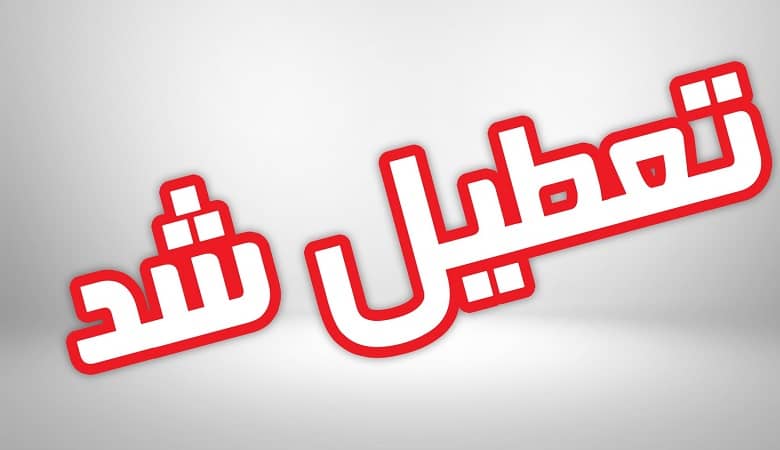 ازدواج پسر ایرانی با زن میلیاردر 90 ساله خارجی: فقط عاشق خودشم/ عکس