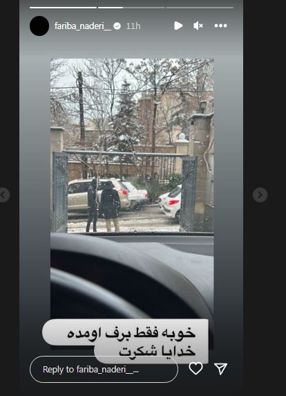 عکس/ طعنه جنجالی فریبا نادری به چالش‌های بعد از بارش برف!