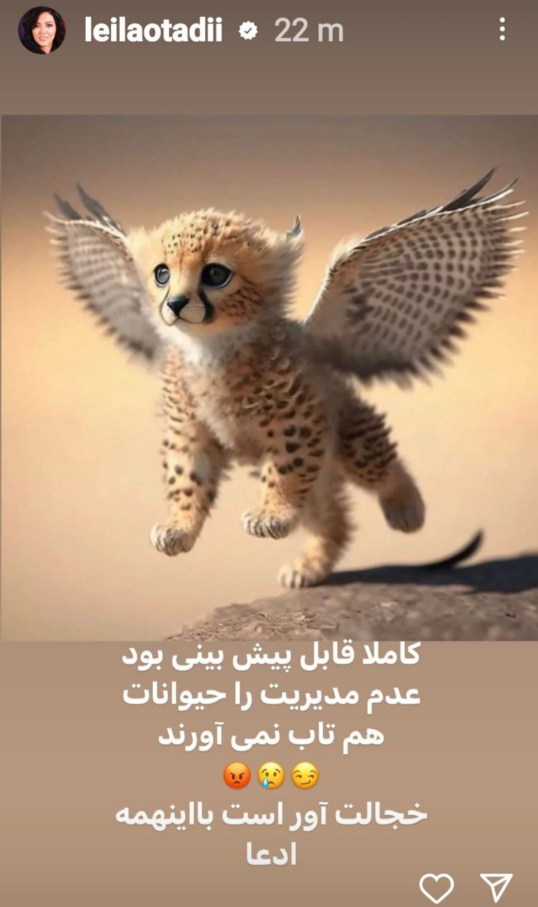 خشم “لیلا اوتادی” حسابی گل کرد/ عکس