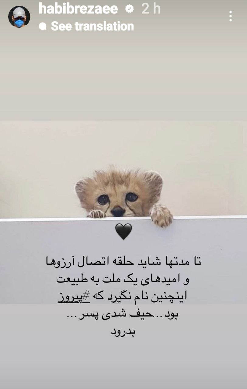 استوری “آقای بازیگر سرشناس” درباره پیروز اشک همه را درآورد/ عکس