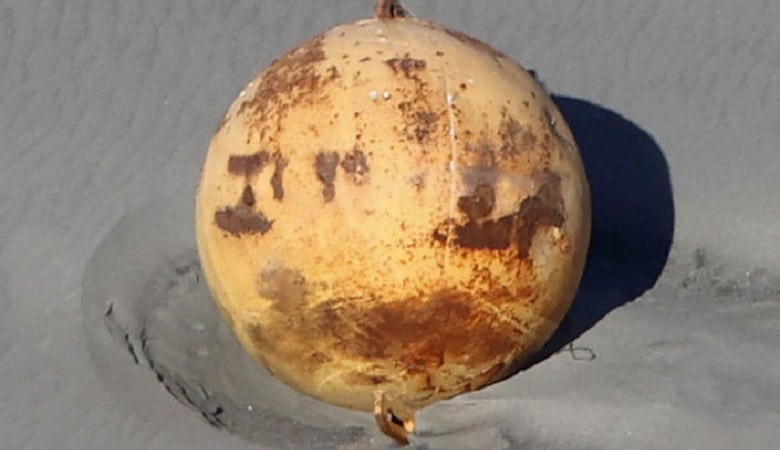 ویدئو/ این گوی مرموز ژاپن را به هم ریخت!