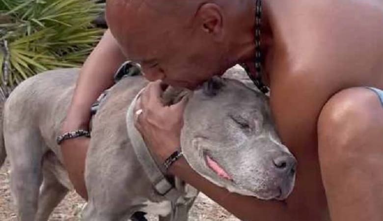 ویدئو/ ملاقات احساساتی مردی با سگش پس از ۱۰ سال!