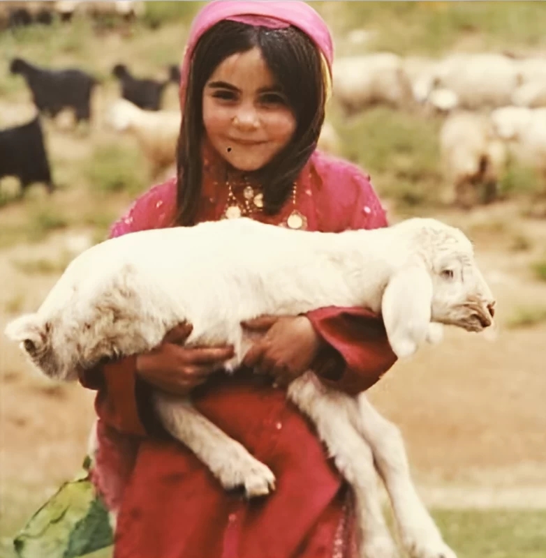 جالب ترین عکسی که تاکنون از “الهام چرخنده” دیده اید/ تصویر