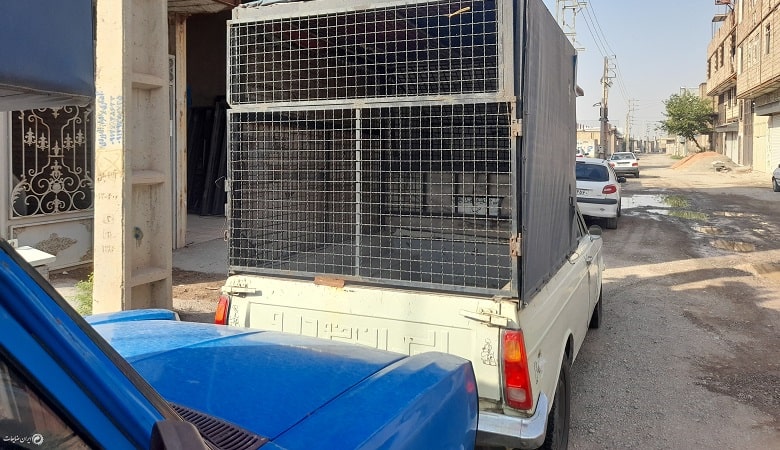 ماجرای جنازه زن باردار پشت وانت در میدان ونک چه بود؟