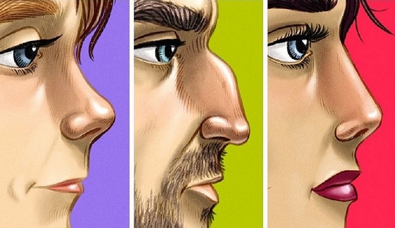 ارتباط جالب فرم بینی با خصوصیات اخلاقی افراد