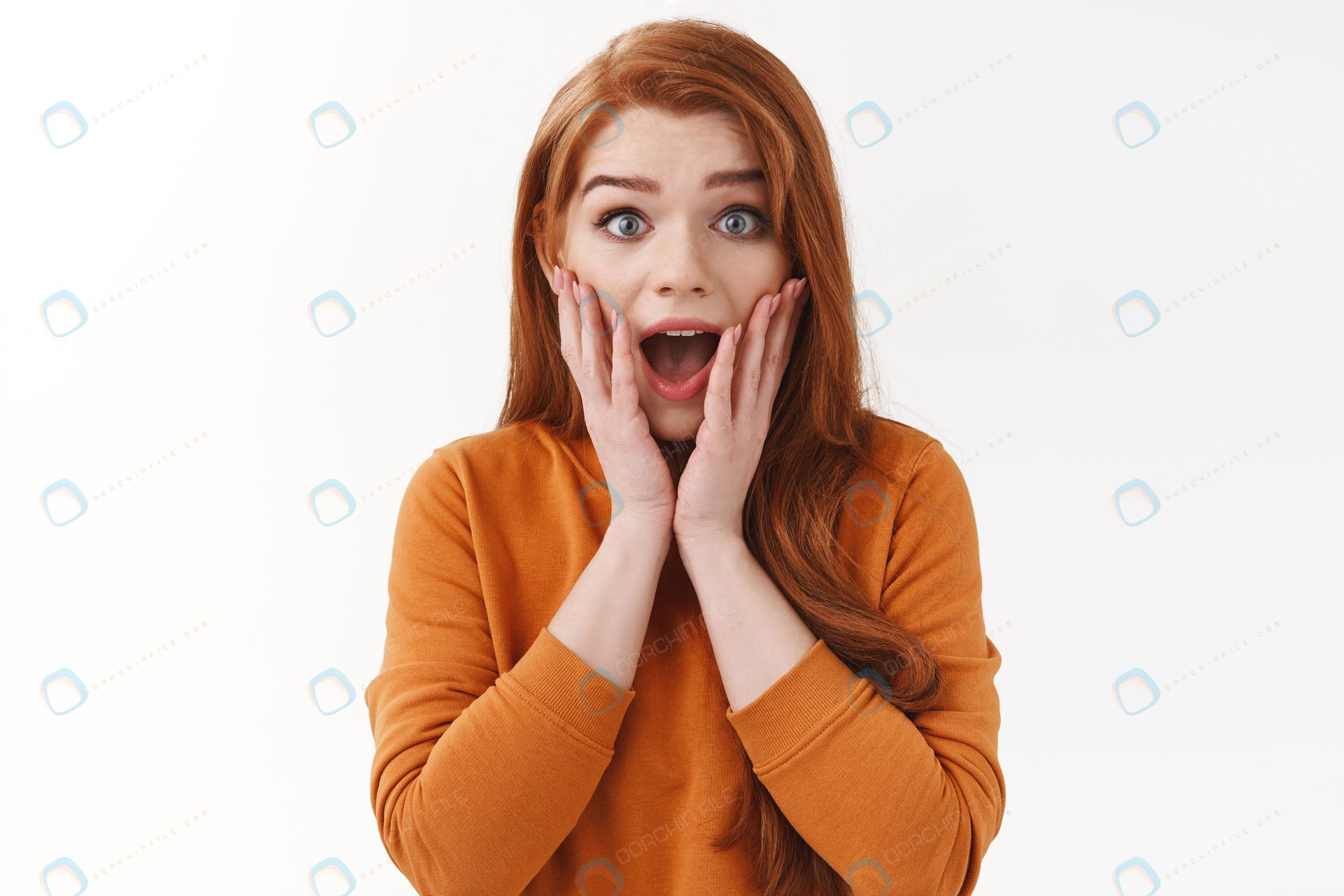 آزار و اذیت عجیب گربه ها توسط این اردک/ ویدئو