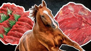 فیلم/ ژاپنیها چگونه گوشت خام اسب میخورند؟!