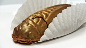 فیلم/ دسر حشرات شکلاتی عجیبترین شیرینی دنیاست!