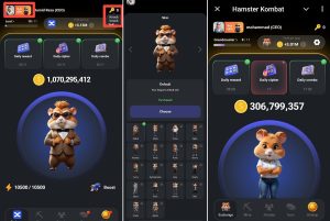 کاربرد دو بخش جدید همستر کمبات skin و knock چیست؟