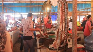 فیلم/ ترسناکترین بازار گوشت چین؛ سگ، گربه، موش و خفاش