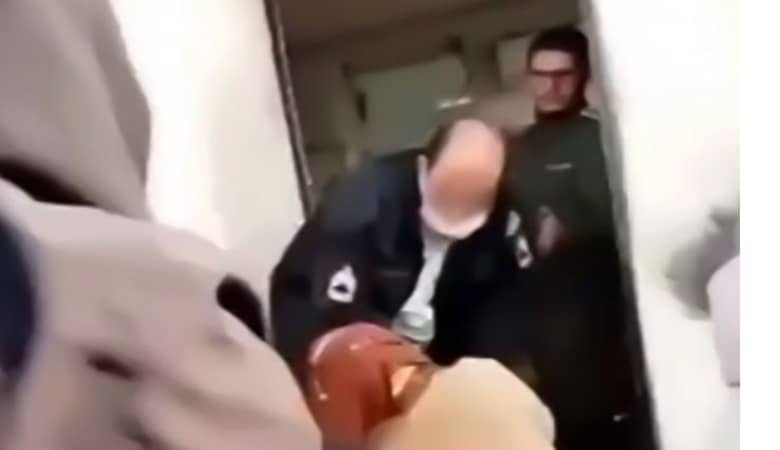 ویدئو/ فیل مادر یکی از دوقلوهایش را برای شیرها گذاشت تا دیگری را نجات دهد