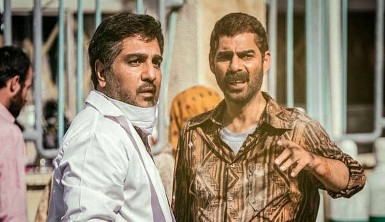 رمزگشایی از دلیل فروش عجیب “درخت گردو”
