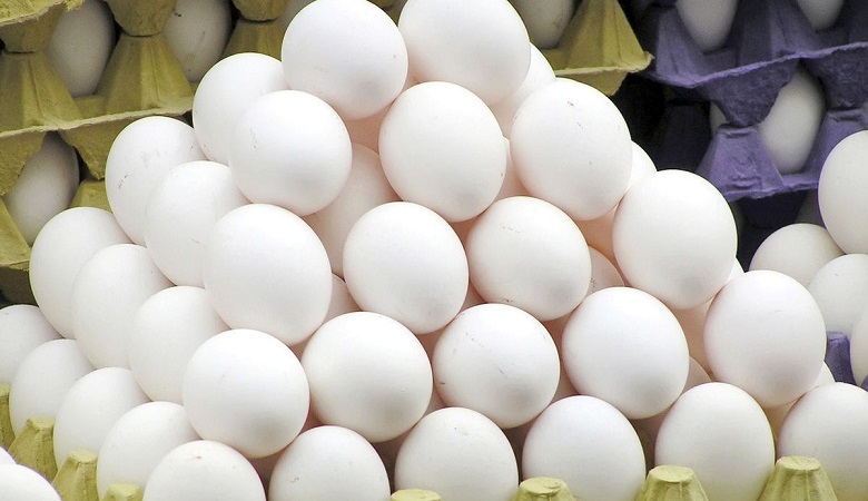 عکس/ تیپ جذاب و خاص بهرام افشاری و امیر جعفری در ترکیه