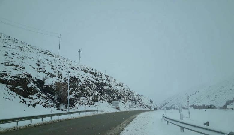 آیا می دانستید این آقای بازیگر شوهر دوم “لادن طباطبایی” بوده/ عکس