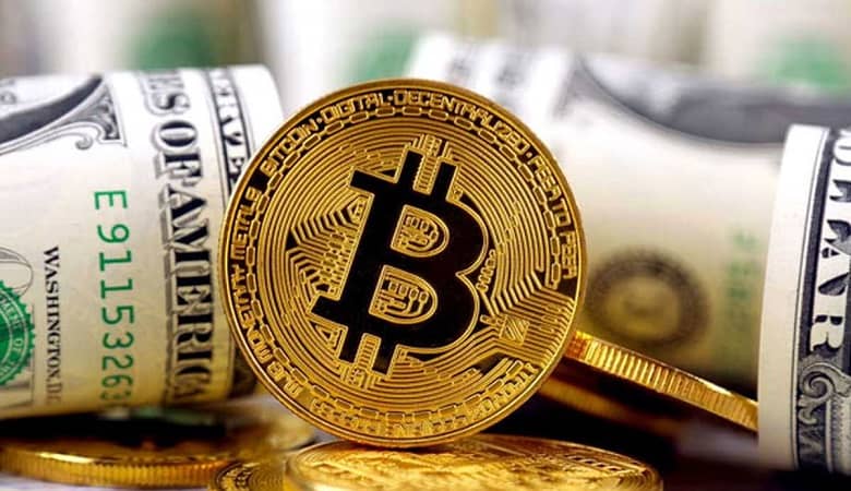 پاسخ سوال امروز timefarm تایم فارم 23 تیر 1403 شنبه
