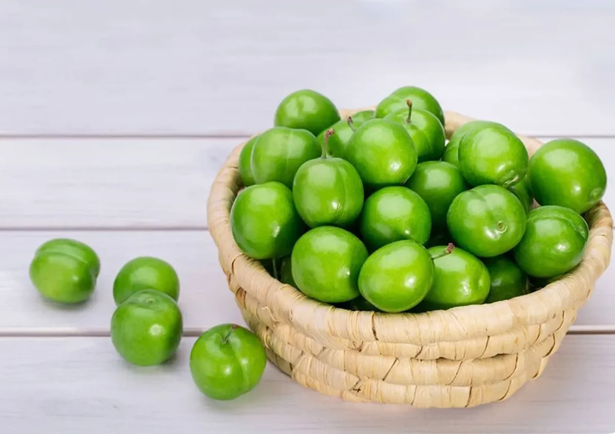 طرز تهیه اسکمو گوجه سبزِ اصیل شمالی