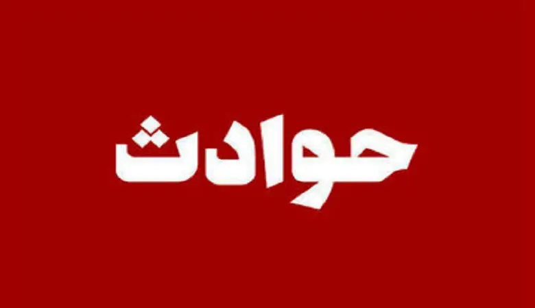 دستگیری سارقانی که بادیگارد داشتند